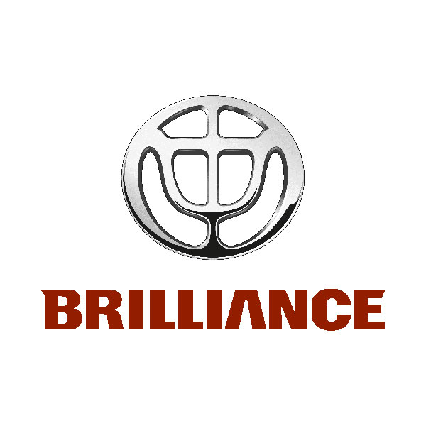 Steering-Partner-Brilliance